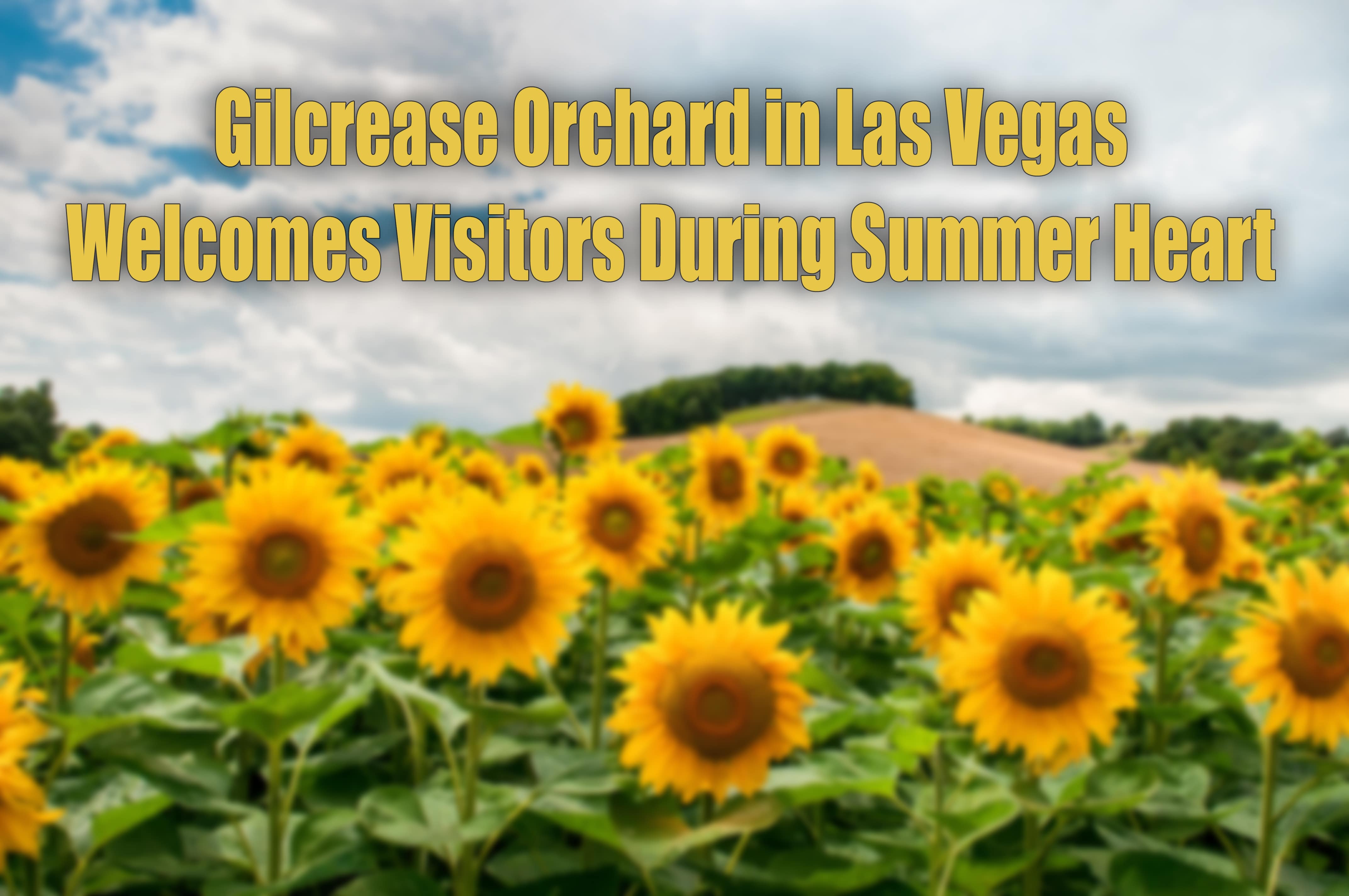 Gilcrease Orchard Las Vegas.jpg
